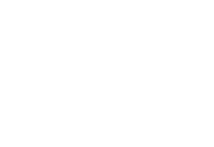 Big Green Egg logo