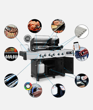 Broil King Regal Q 590 Pro Infrared LPG