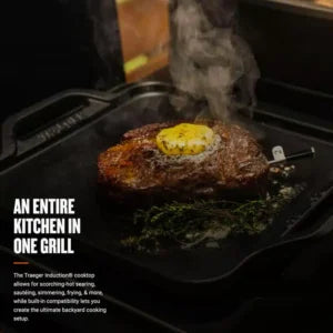 Traeger Timberline Pellet Grill