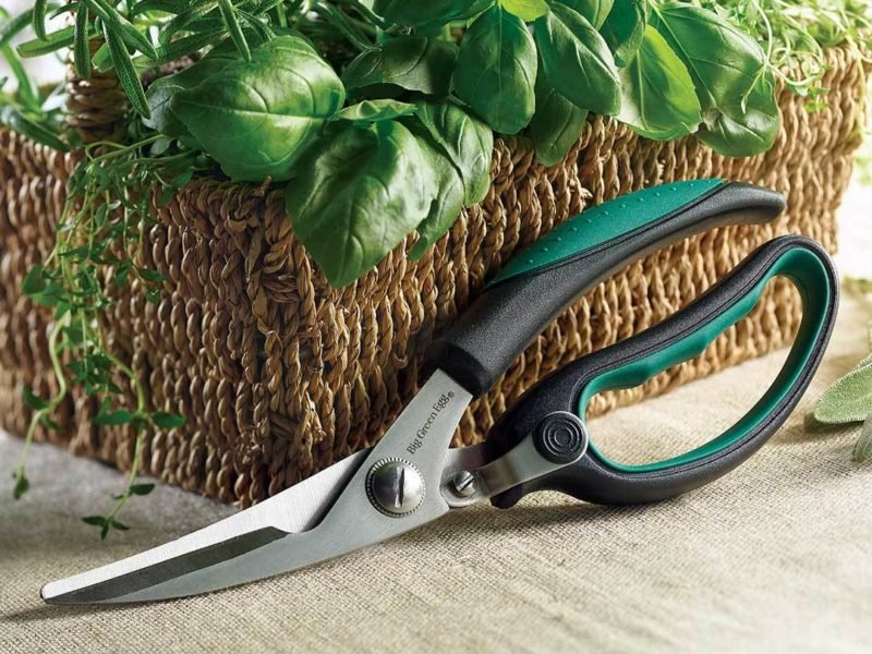 Big Green Egg 'Kitchen Shears' - Smoked Bbq Co